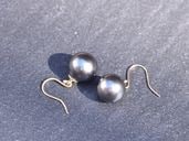 South Sea black pearl 10.3mm//Hook Earrings【The Pearl/ザ・パール】