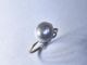 South Sea White Pearl/Pt950×K10YG Ring【The Pearl/ザ・パール】