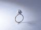 South Sea White Pearl/Pt950×K10YG Ring【The Pearl/ザ・パール】