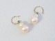 Fresh water pearl / K18YG pierce 【hook pierce】