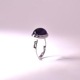 モデルオーダー事例<br>【apartamento/アパトメント】<br>紫の滴を宿す