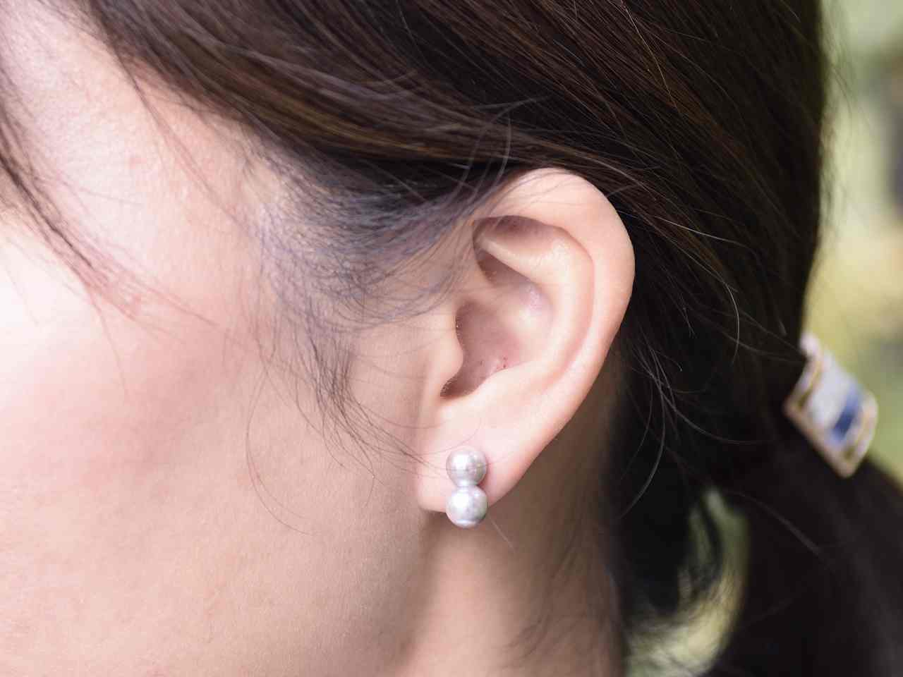 Akoya pearl / K14WG pierce 【Studs pierce】