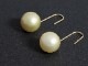south sea gold pearl / K18YG pierce 【hook pierce】