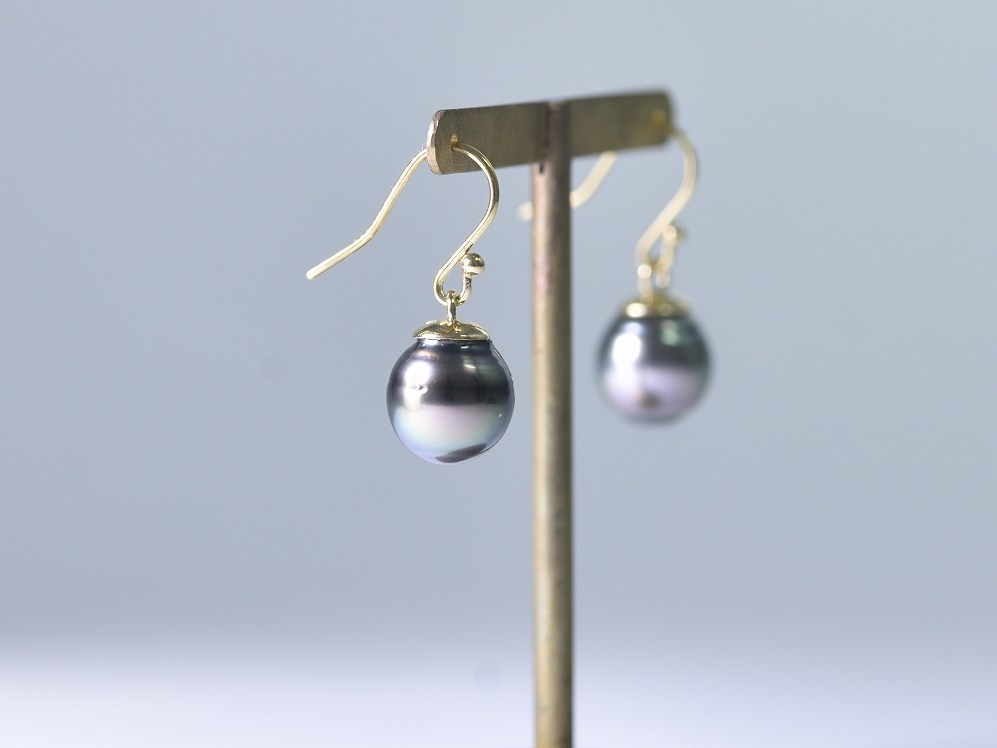 south sea black pearl / K18YG 【hook pierce】
