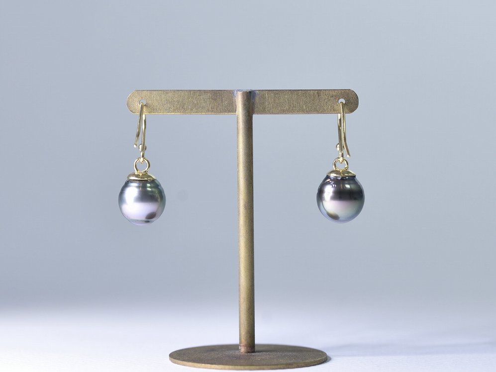 south sea black pearl / K18YG 【hook pierce】