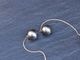 South Sea Black Pearl/Chain Earrings【The Pearl/ザ・パール】