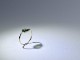 Green Garnet（Tsavorite)_0.60ct K18YG Ring 【Ramo petalo/ラモペタロ】