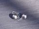 South Sea Black Pearl/Hook Earrings【The Pearl/ザ・パール】