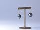 South Sea black pearl 10.3mm//Hook Earrings【The Pearl/ザ・パール】