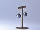 South Sea black pearl 10.3mm//Hook Earrings【The Pearl/ザ・パール】