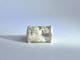Garden Quartz 46.14ct / SV925 Ring【sala/サラ】