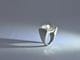Garden Quartz 46.14ct / SV925 Ring【sala/サラ】