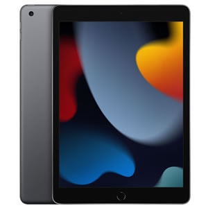 iPad 10.2インチ 第9世代 Wi-Fi 256GB 2021年秋モデル MK2N3J/A [スペースグレイ] 新品未開封