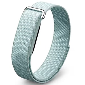 Fitbit Air [Fog] 新品