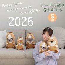 ץߥͤͤॢ˥ޥ륺աɤ¤ޤSҴ2026