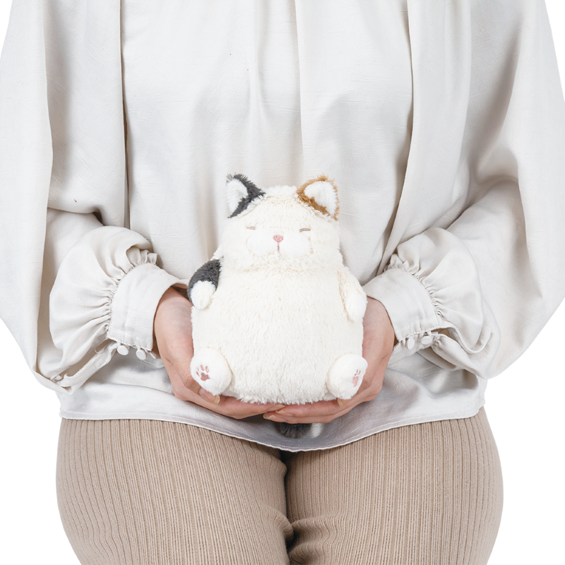 �ͤ����괶����������ߥ˥��å����