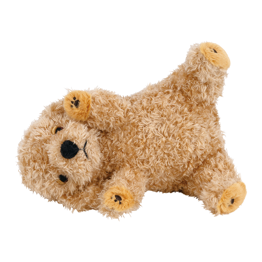 �ݡ����������ޥ����å�