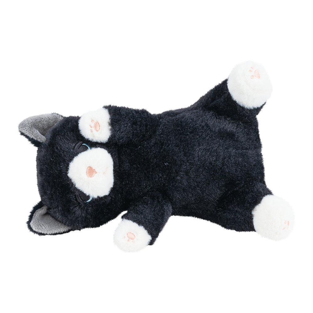 �ݡ����������ޥ����å�