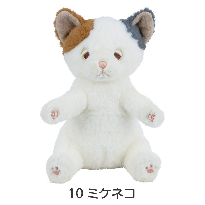 �ݡ����������ޥ����å�