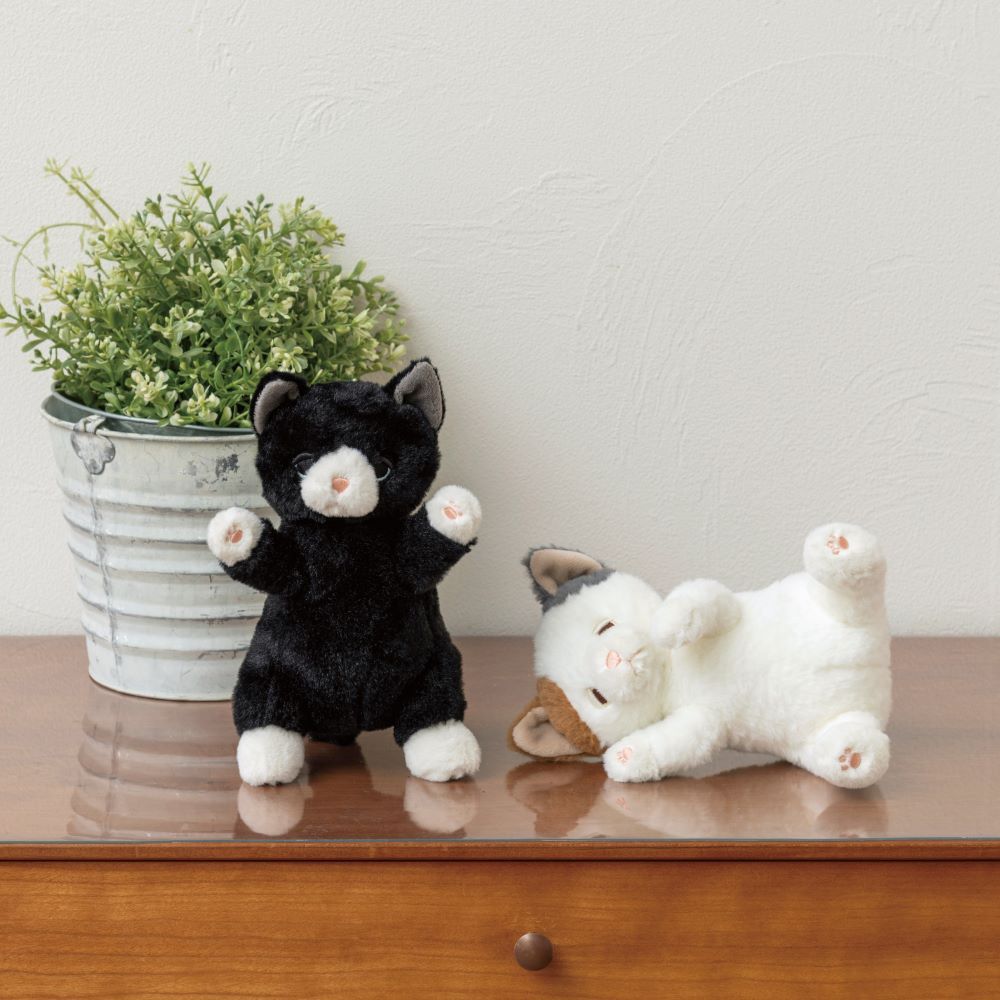 �ݡ����������ޥ����å�