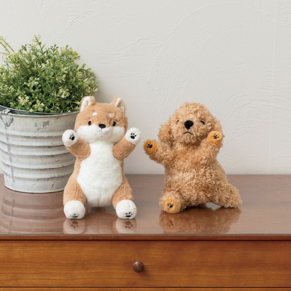 �ݡ����������ޥ����å�