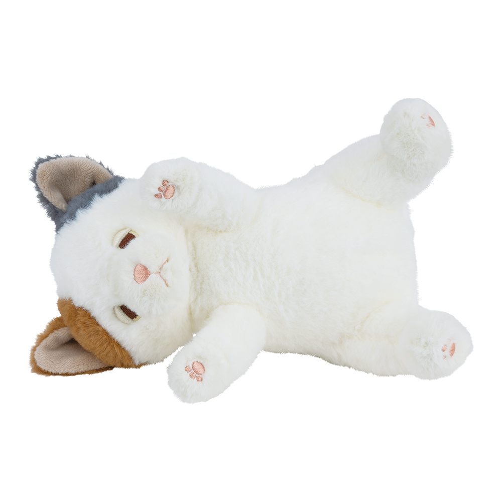 �ݡ����������ޥ����å�