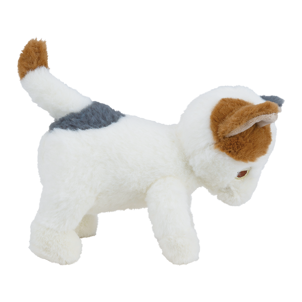 �ݡ����������ޥ����å�