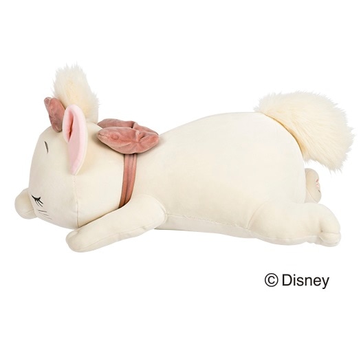 �ǥ����ˡ����쥯����󡡥���ϥ��������ޤ���S������