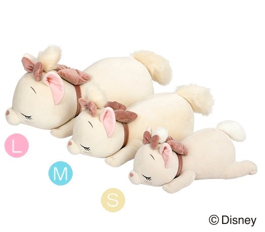 �ǥ����ˡ����쥯����󡡥���ϥ��������ޤ���S������