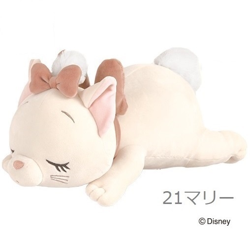 �ǥ����ˡ����쥯����󡡥���ϥ��������ޤ���S������