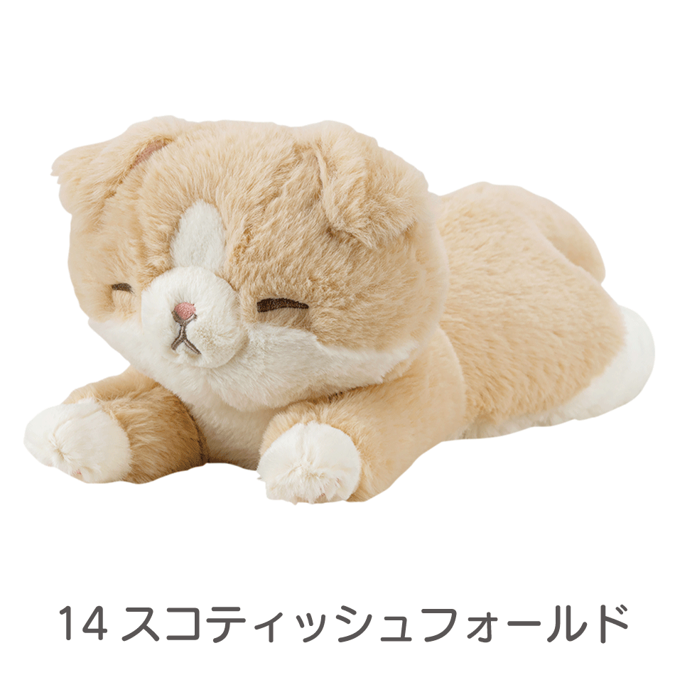 �����äȤӤ�ꡡ�ޥ����å�