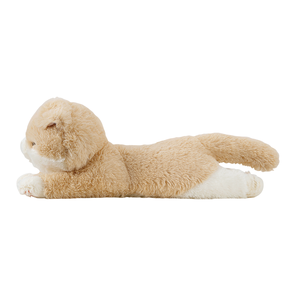 �����äȤӤ�ꡡ�ޥ����å�