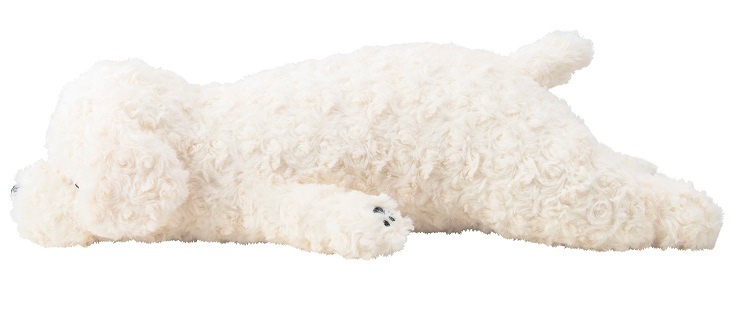 ͤͤॢ˥ޥ륺ޤMʥȥסɥ