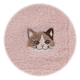 �ˤ�󤫤����ϥ󥫥�������