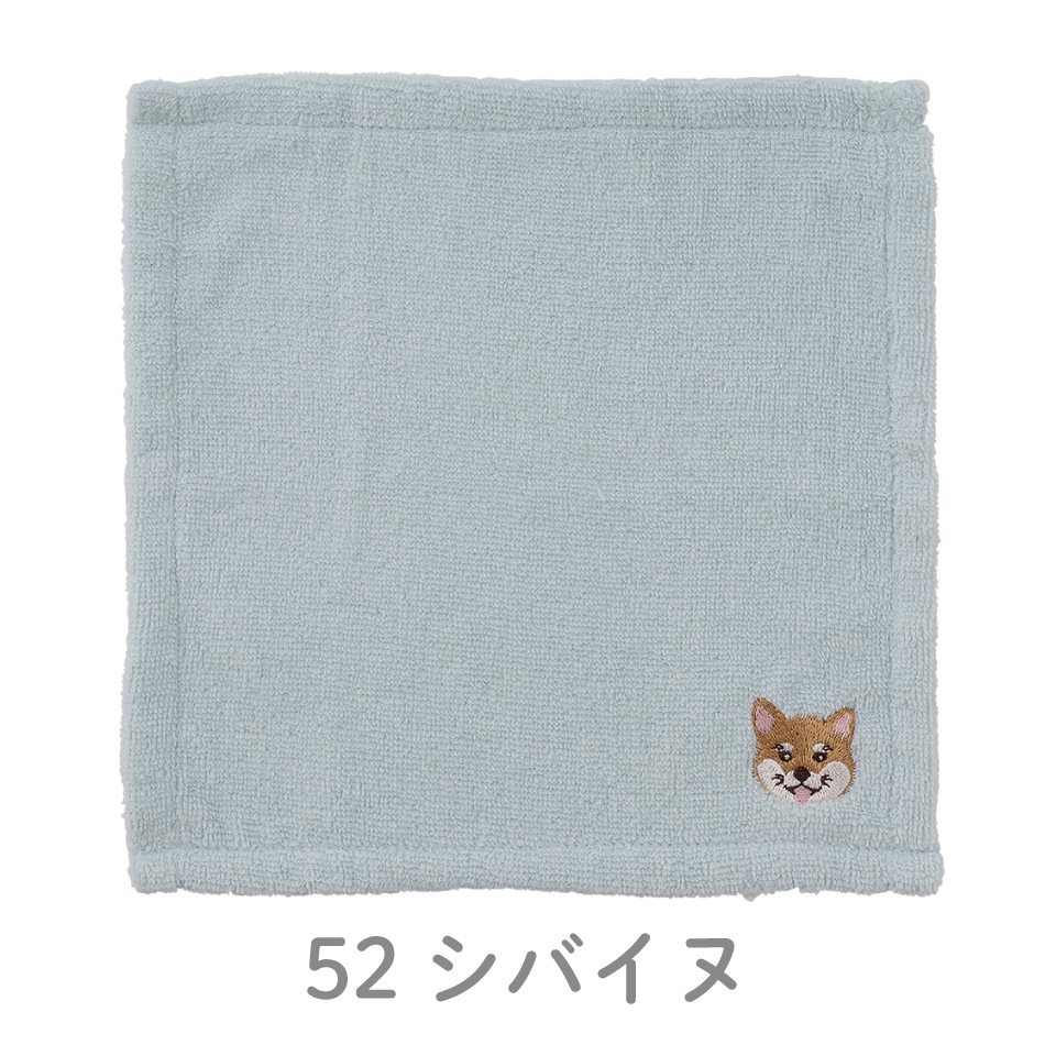 わんかち｜ハンカチタオル
