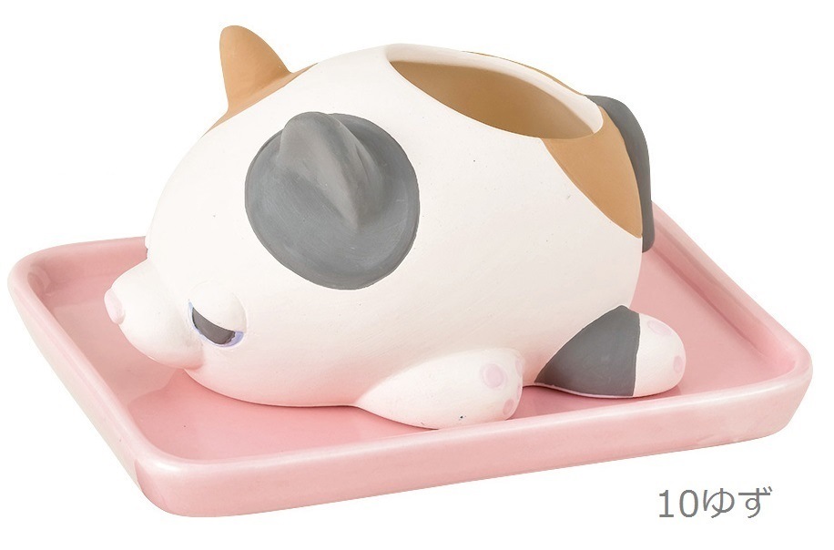 Sale ねむねむアニマルズ 陶器 加湿器 別配送商品 シリーズ別 ねむねむアニマルズ Livheart