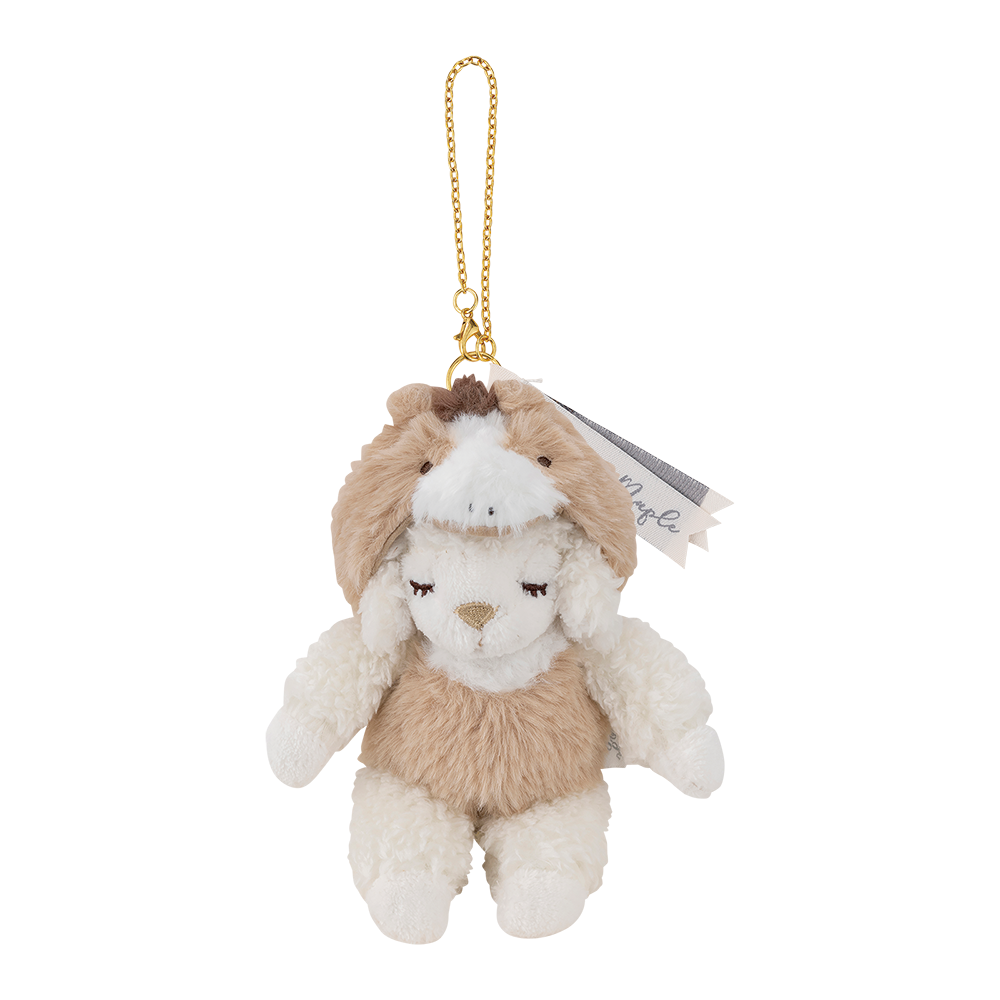 ʡȢ2026���ᥤ�ץ륻�åȡ������̸����