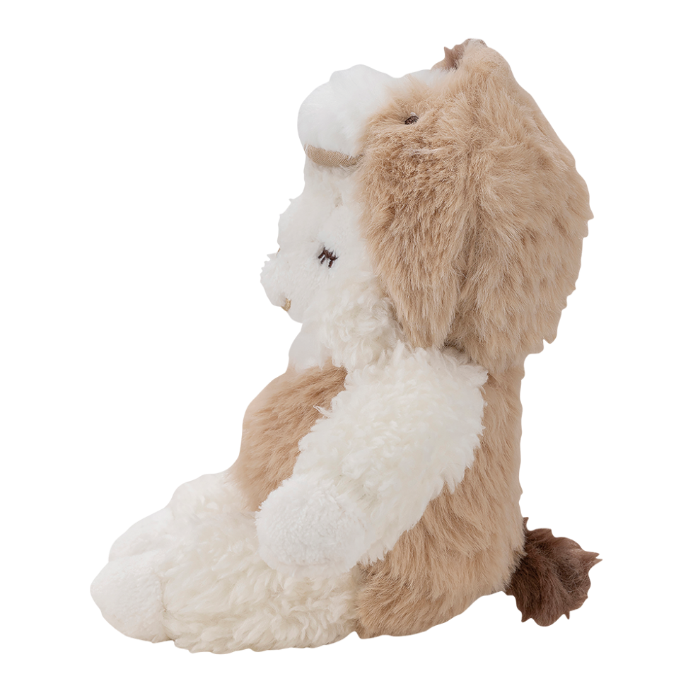 ʡȢ2026���ᥤ�ץ륻�åȡ������̸����