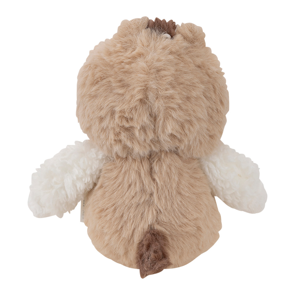 ʡȢ2026���ᥤ�ץ륻�åȡ������̸����