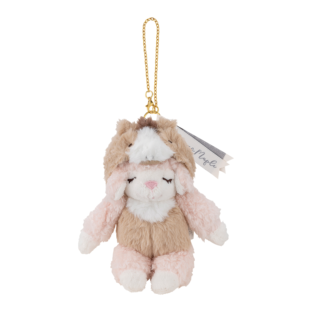 ʡȢ2026���ᥤ�ץ륻�åȡ������̸����