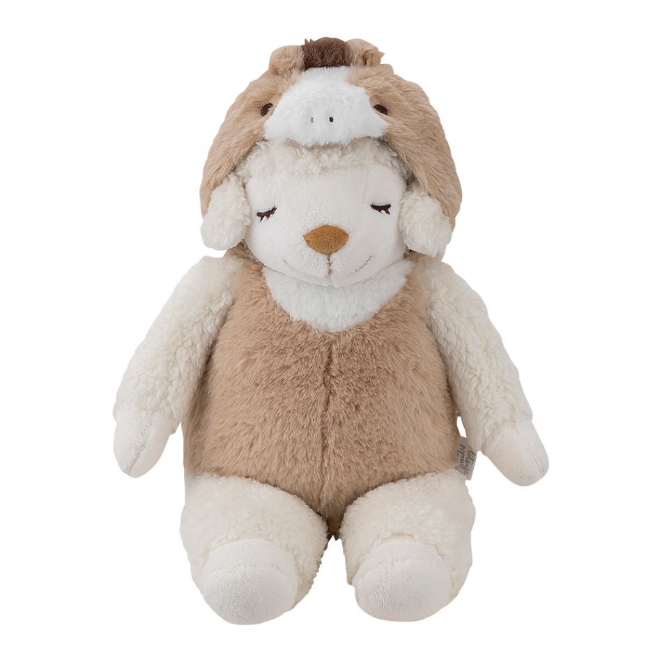 ʡȢ2026���ᥤ�ץ륻�åȡ������̸����