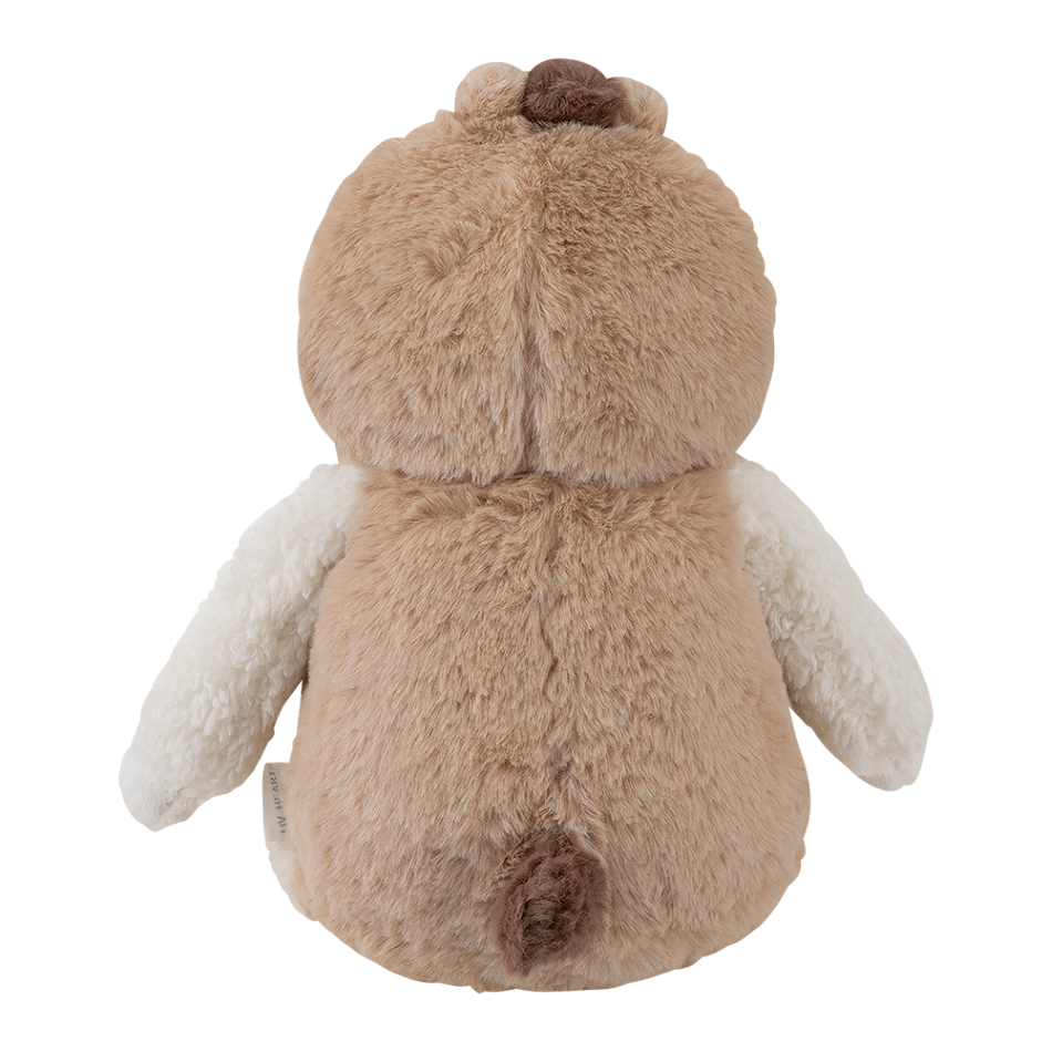 ʡȢ2026���ᥤ�ץ륻�åȡ������̸����