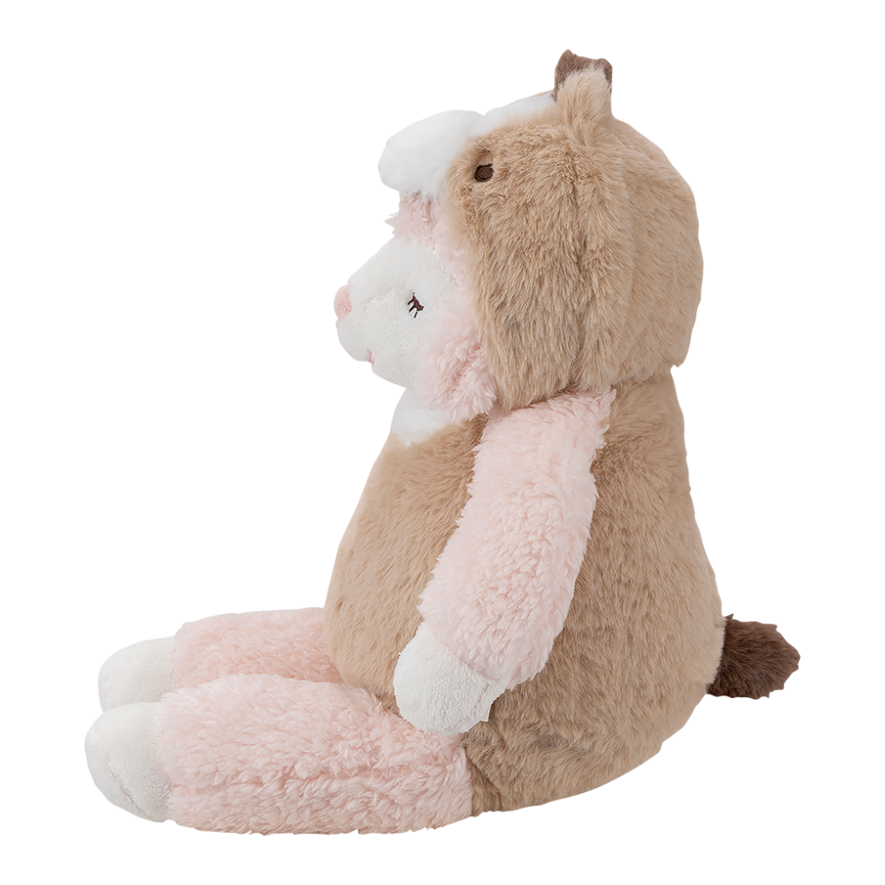 ʡȢ2026���ᥤ�ץ륻�åȡ������̸����