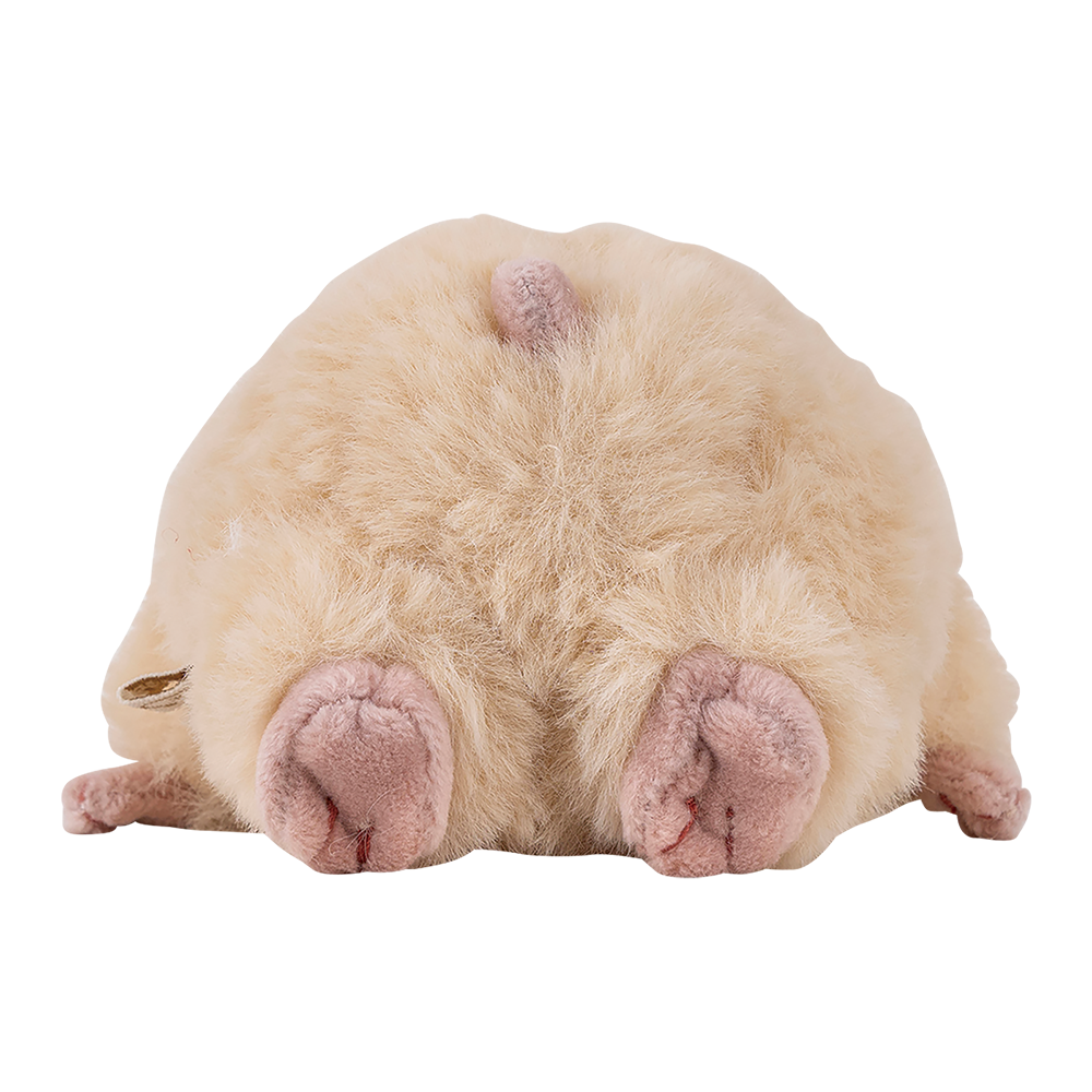 �Ϥ�ˤ��ꡡ�ޥ����åȡ����������ͽ��