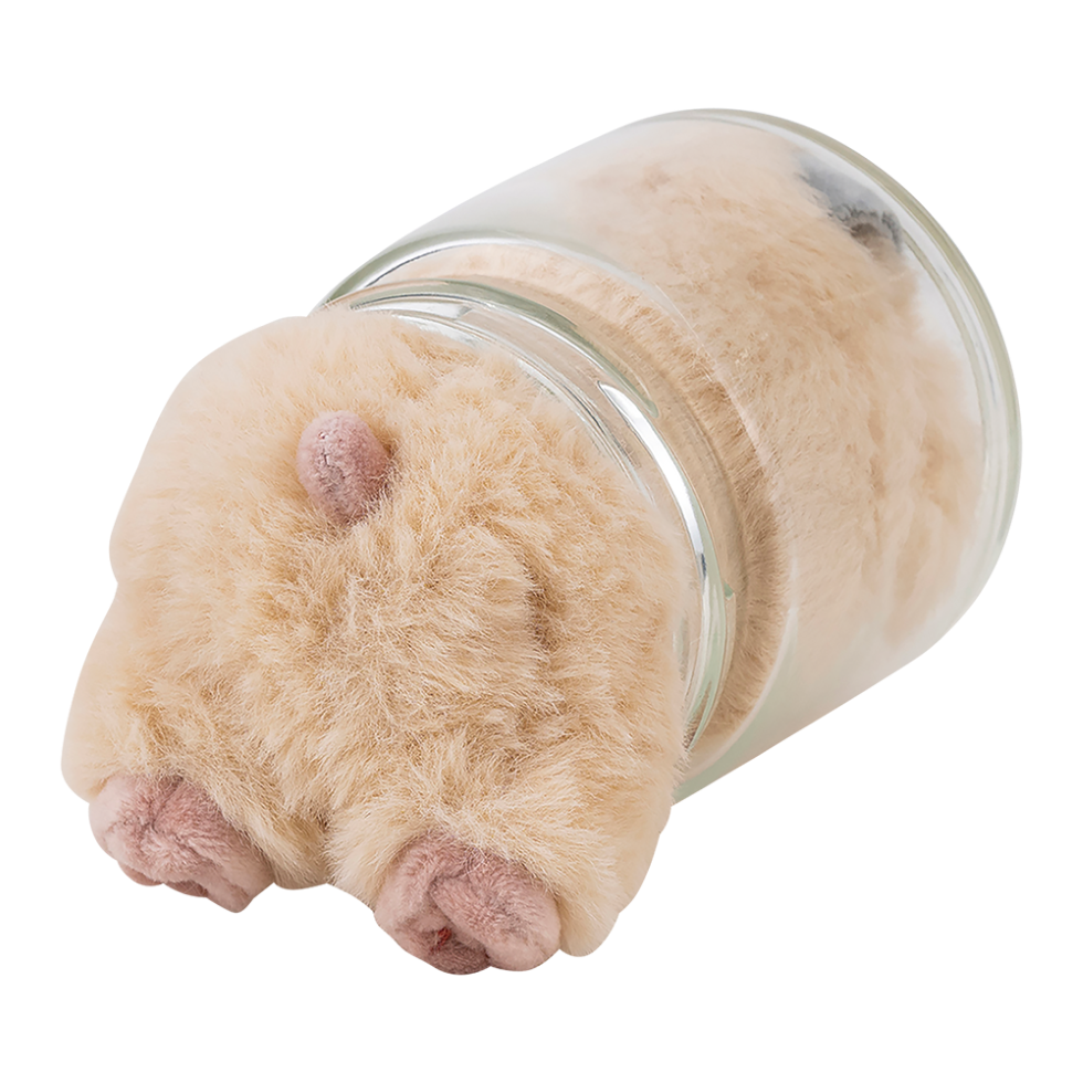 �Ϥ�ˤ��ꡡ�ޥ����åȡ����������ͽ��