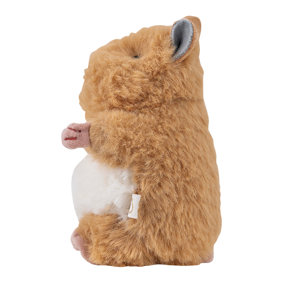 �Ϥ�ˤ��ꡡ�ޥ����åȡ����������ͽ��