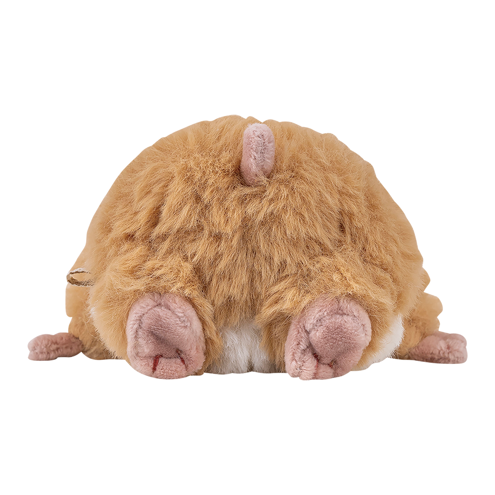 �Ϥ�ˤ��ꡡ�ޥ����åȡ����������ͽ��