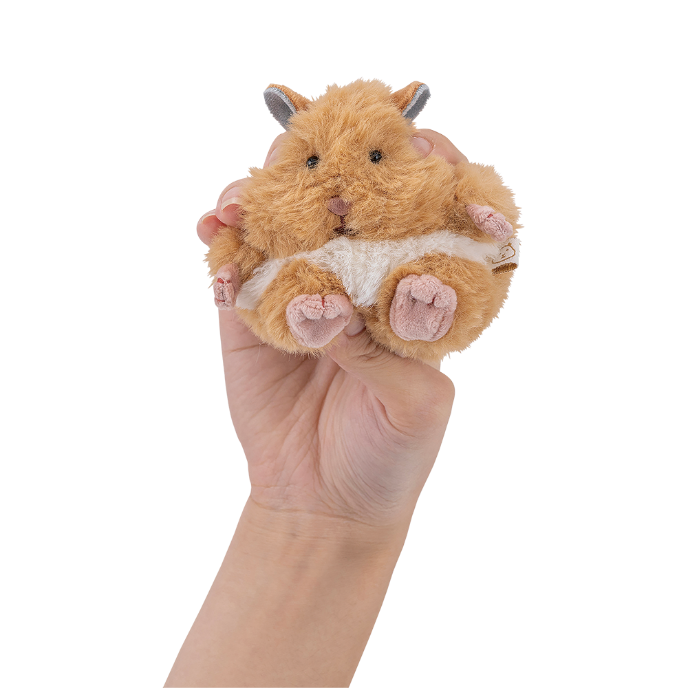 �Ϥ�ˤ��ꡡ�ޥ����åȡ����������ͽ��