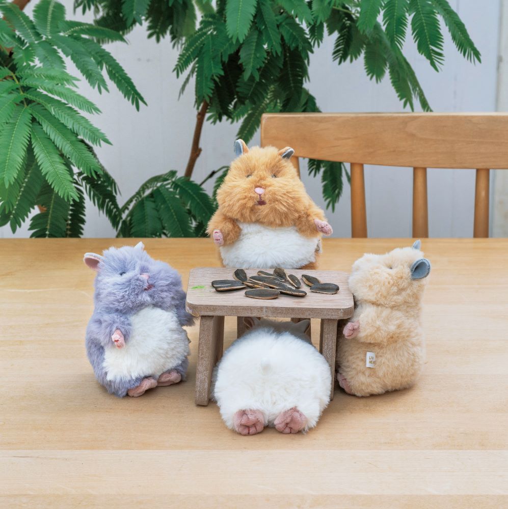 �Ϥ�ˤ��ꡡ�ޥ����åȡ����������ͽ��