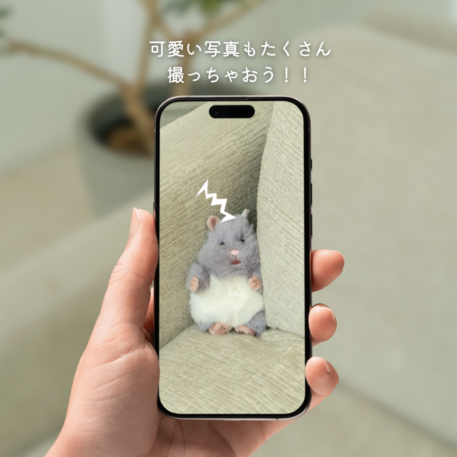 �Ϥ�ˤ��ꡡ�ޥ����åȡ����������ͽ��